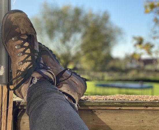 FB1E3F17-1F11-4928-B437-C005829F618B